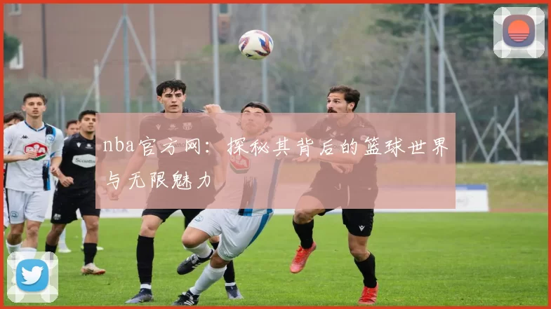 nba官方网：探秘其背后的篮球世界与无限魅力