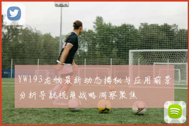 YW193龙物最新动态揭秘与应用前景分析导航视角战略洞察聚焦