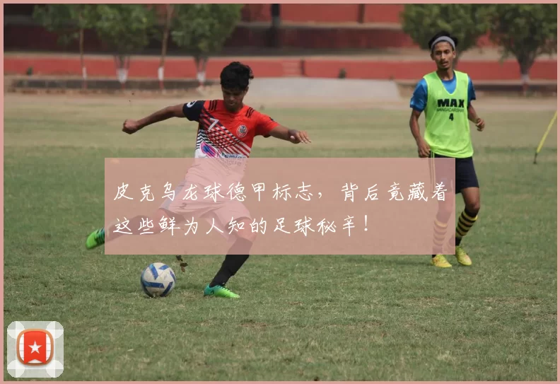 皮克乌龙球德甲标志，背后竟藏着这些鲜为人知的足球秘辛！