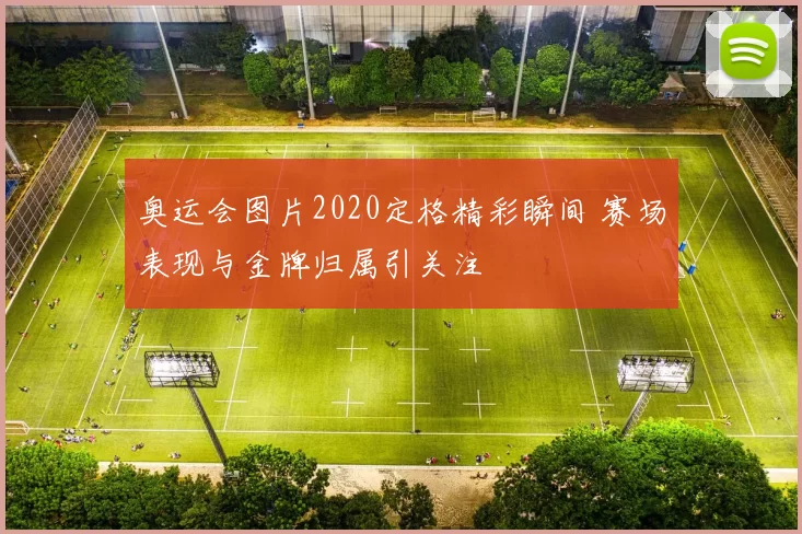 奥运会图片2020定格精彩瞬间 赛场表现与金牌归属引关注
